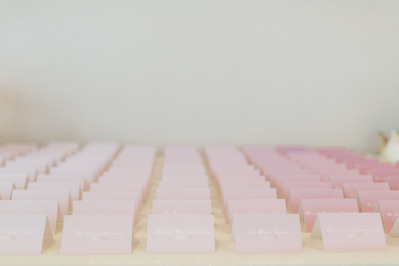 Arielle Peters Photography | Wedding reception table settings and place cards at the Holiday Inn in Mishawaka, Indiana.