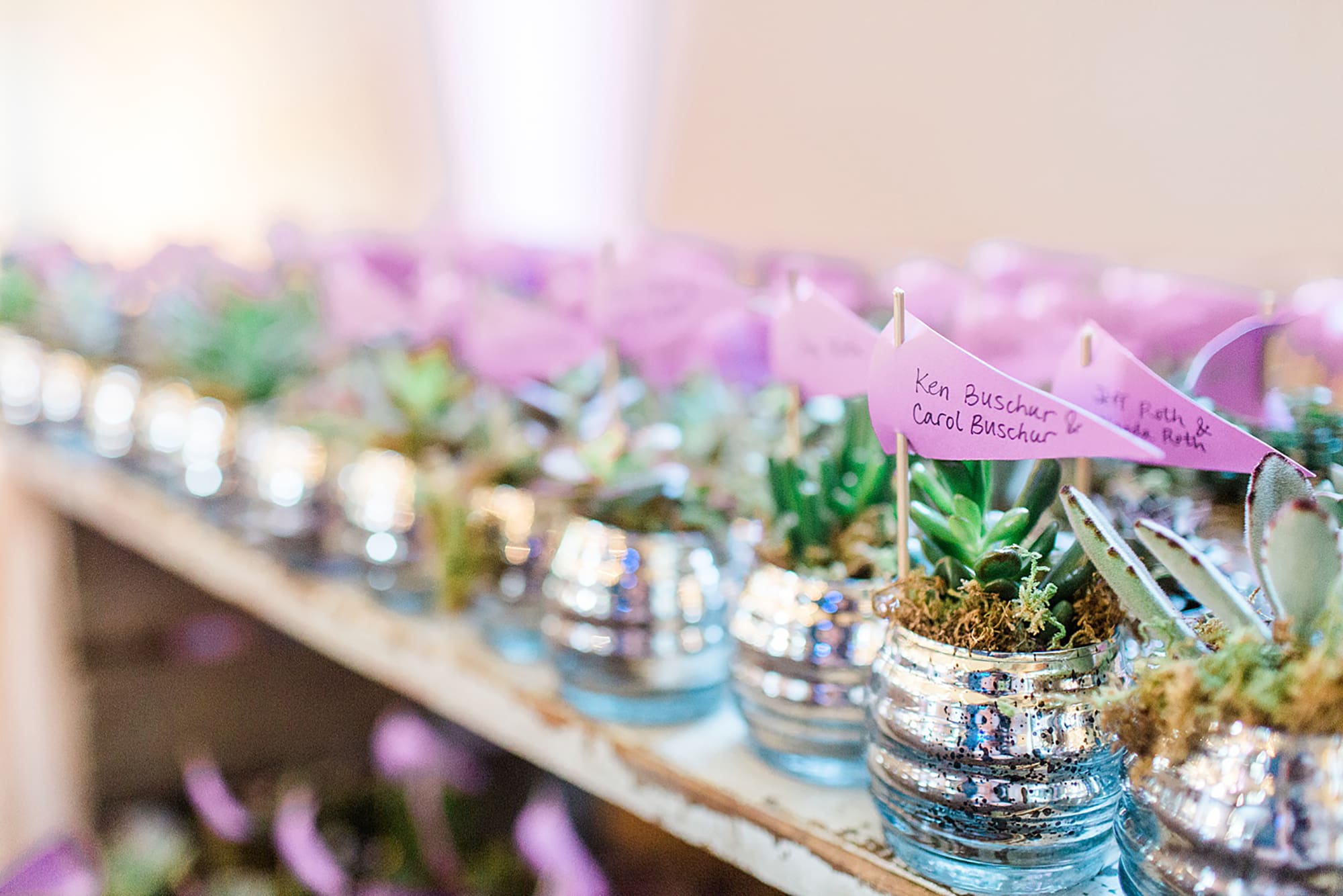 Arielle Peters Photography | Outdoor wedding reception succulent gifts at Nazareth Hall in Grand Rapids, Ohio. 