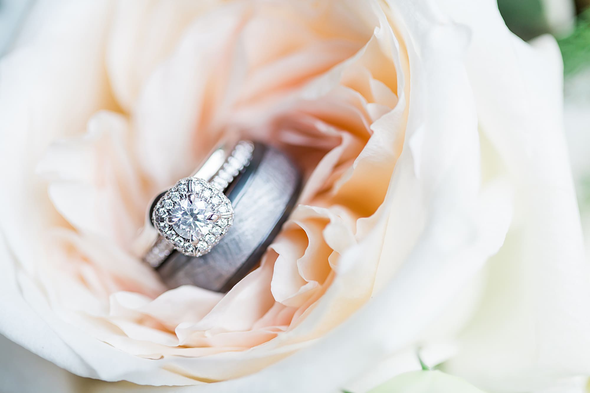 Arielle Peters Photography | Wedding rings on pink roses on wedding day at Winona Heritage Room in Winona Lake, Indiana.