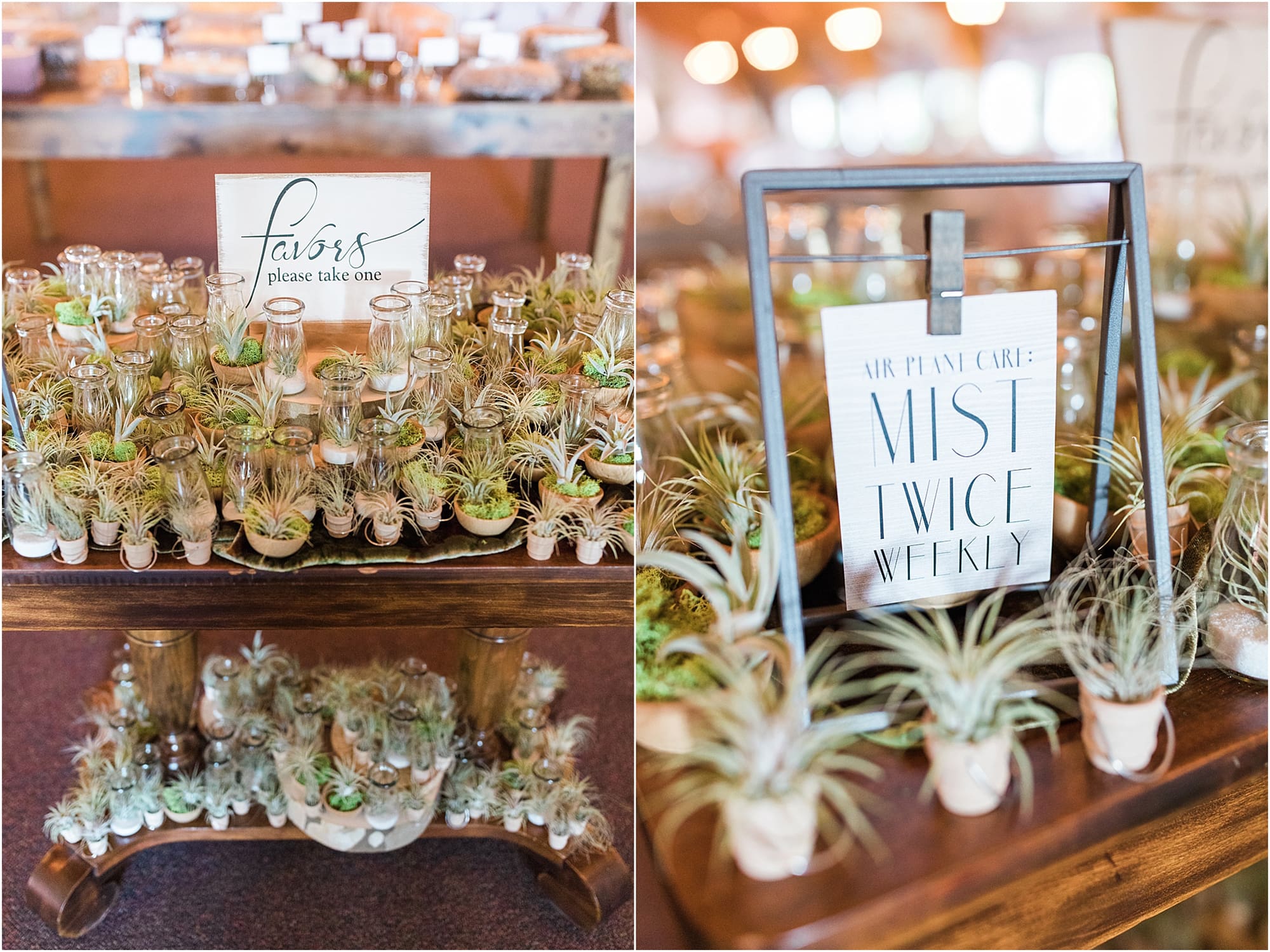 Arielle Peters Photography | Wedding reception succulent gift on wedding day at Winona Heritage Room in Winona Lake, Indiana.