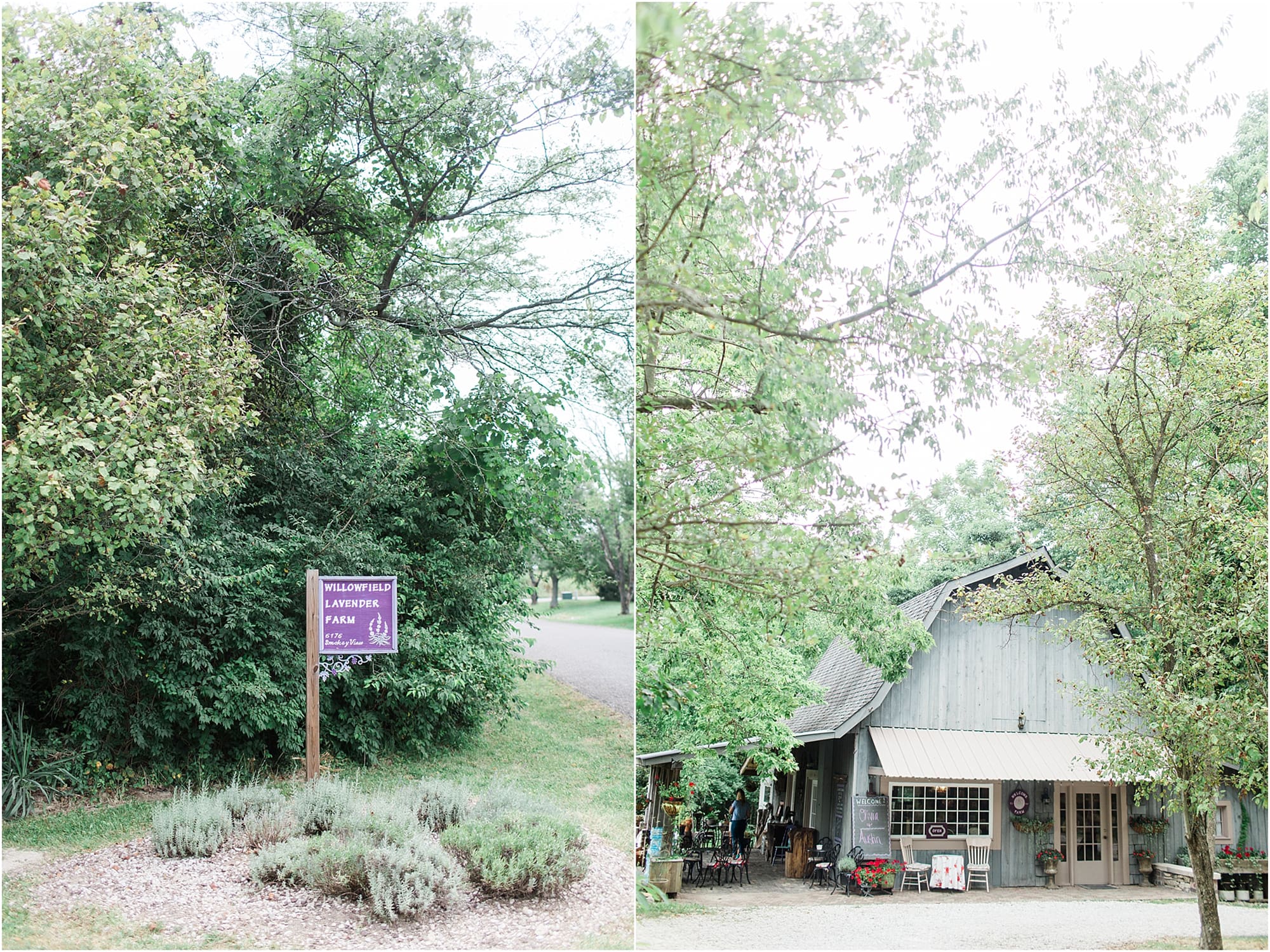 Arielle Peters Photography | Outdoor wedding day at Willowfield Lavender Farm in Mooresville, Indiana. 