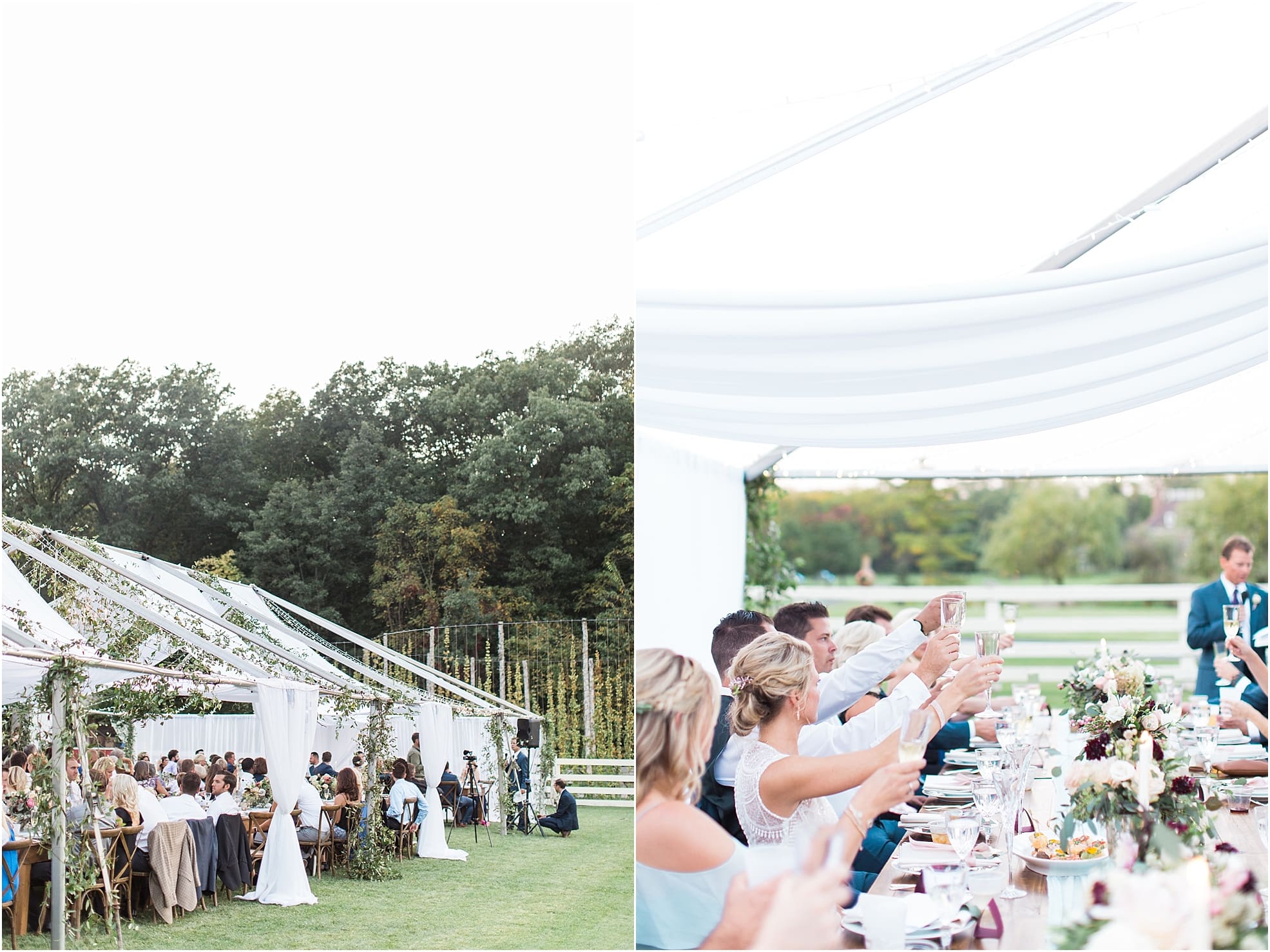 Arielle Peters Photography | Wedding guests raising a glass at wedding reception on wedding day at Joseph Decuis Farm in Roanoke, Indiana.