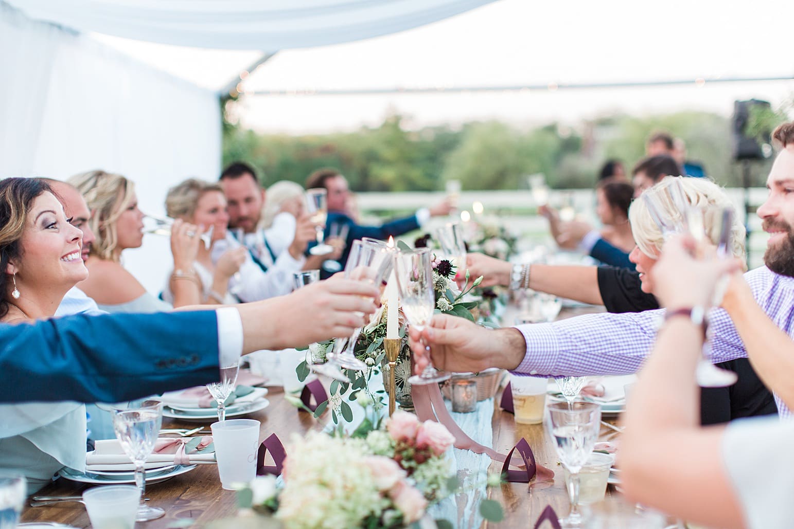 Arielle Peters Photography | Wedding guests toasting at outdoor wedding reception on wedding day at Joseph Decuis Farm in Roanoke, Indiana.