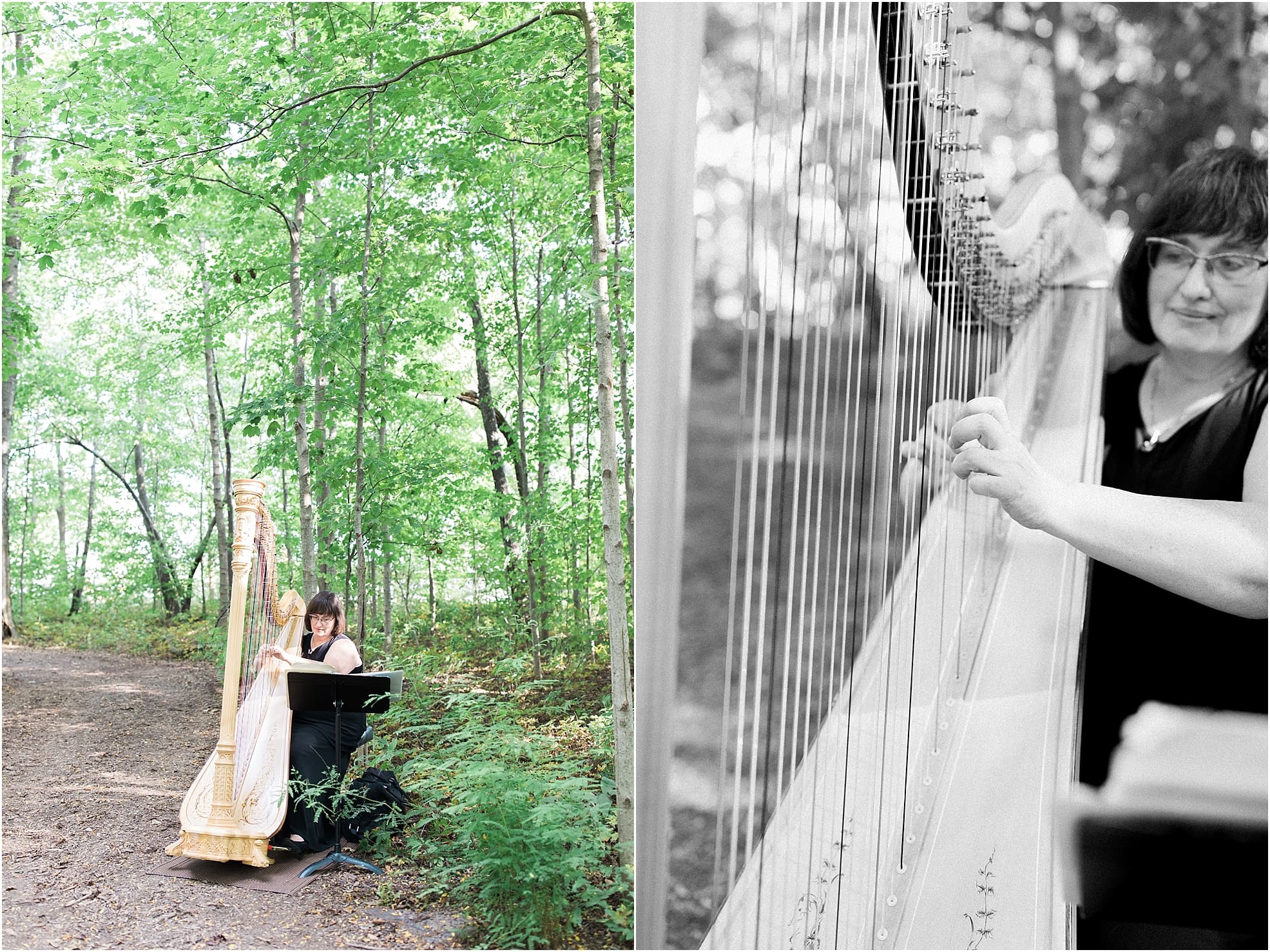 Arielle Peters Photography | Harp player at outdoor wedding ceremony at Joseph Decuis Farm in Roanoke, Indiana.