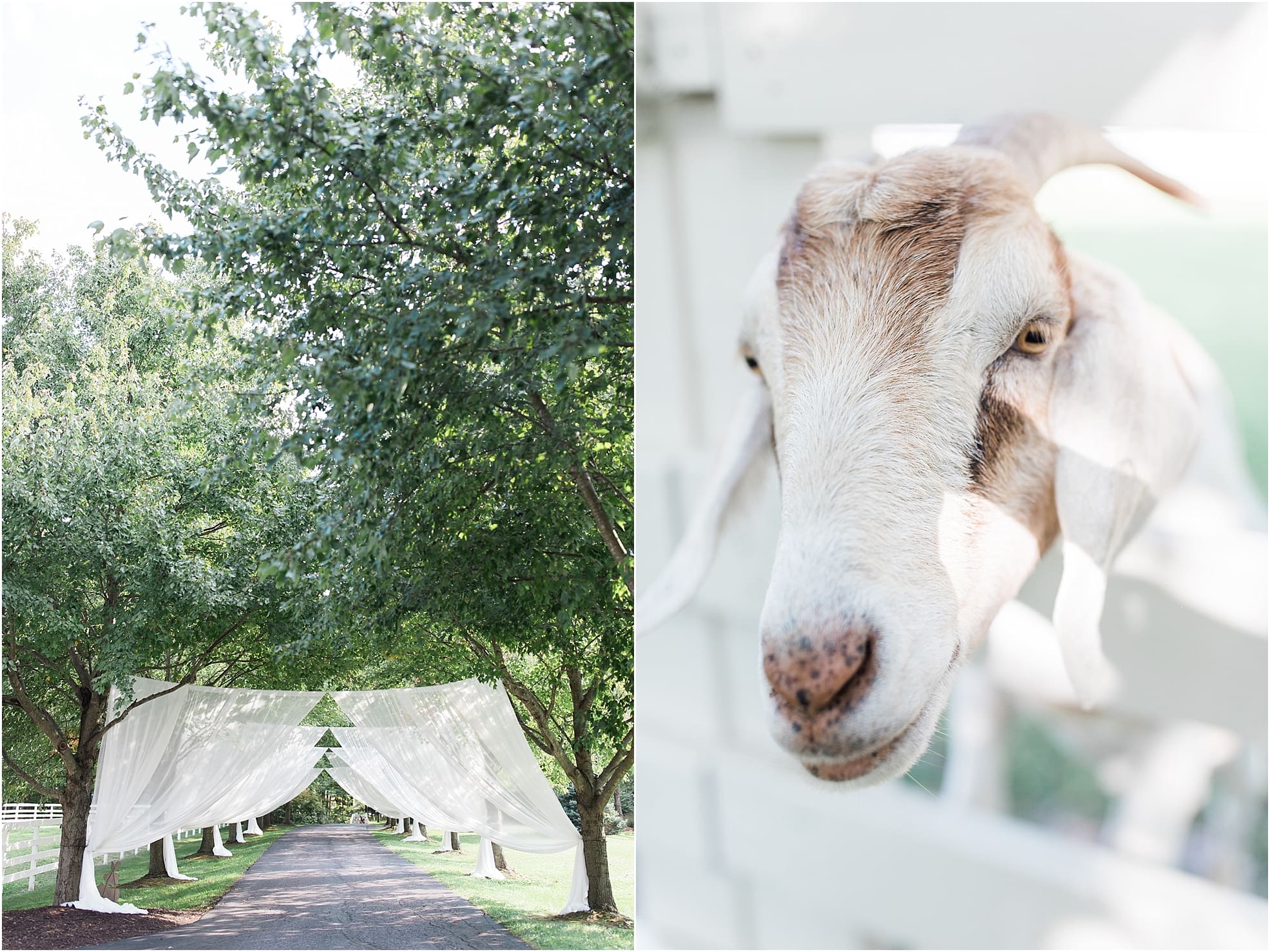 Arielle Peters Photography | Outdoor wedding ceremony at Joseph Decuis Farm in Roanoke, Indiana.