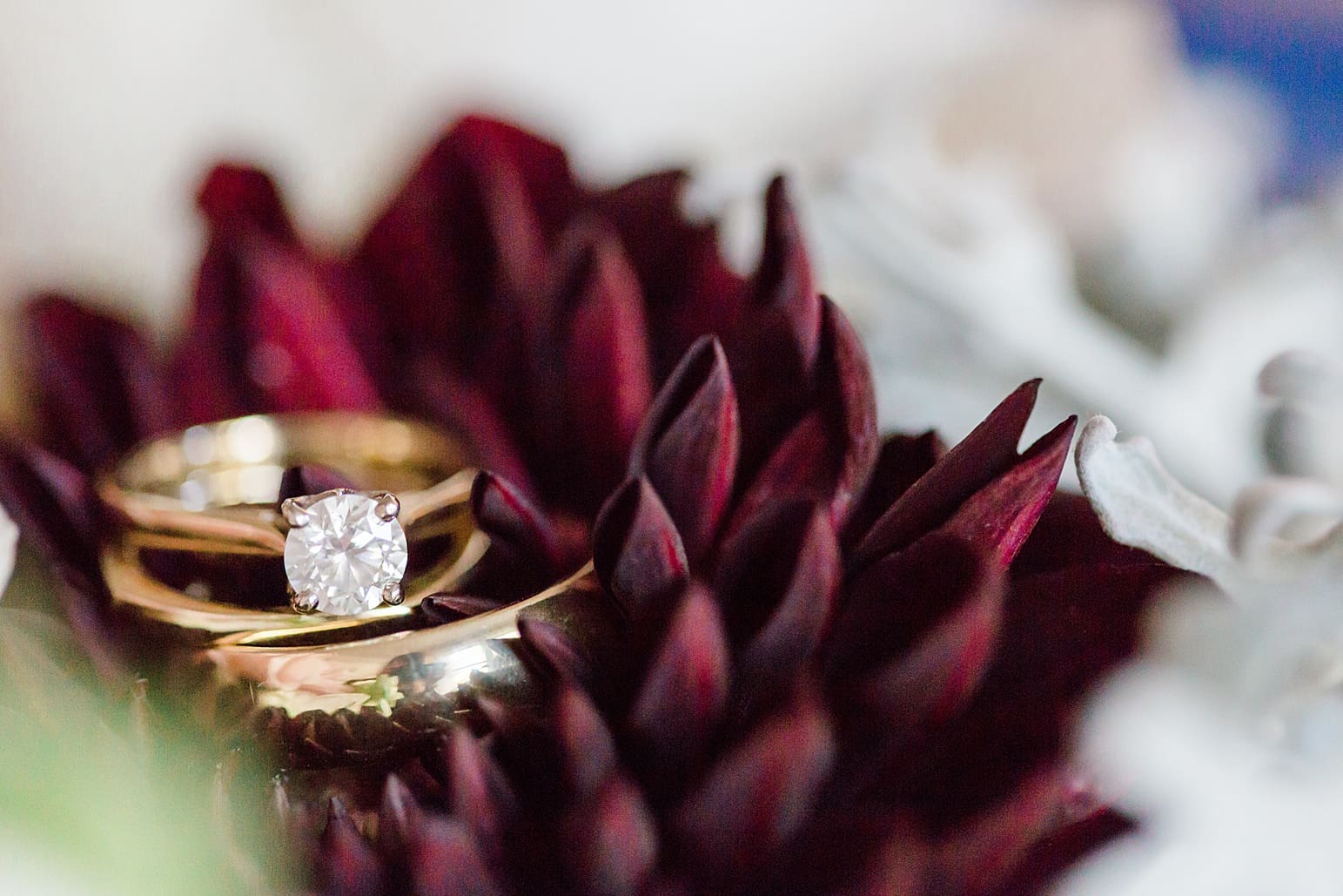 Arielle Peters Photography | Wedding rings on dark red dahlia on fall wedding day in Winona Lake, Indiana.