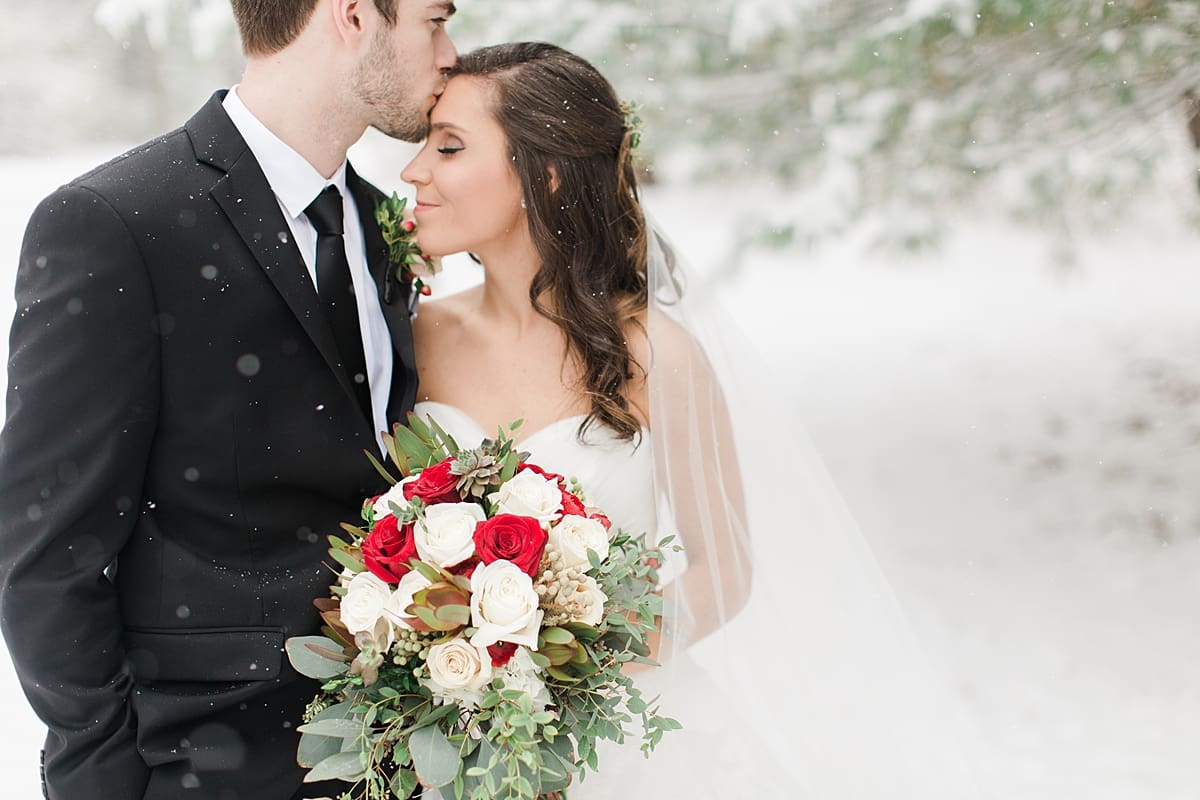 Arielle Peters Photography | Bride and groom kissing in the snow on winter wedding day.