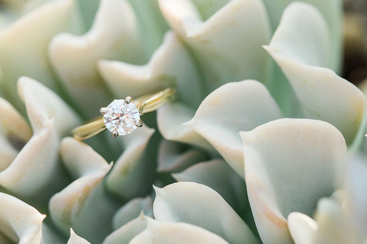 Arielle Peters Photography | Solitaire wedding ring on succulent leaves on wedding day.