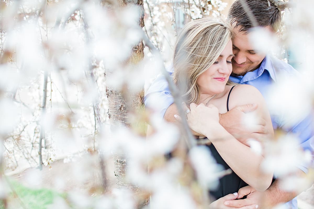 Arielle Peters Photography | Young couple hugging under blossom tree taking spring engagement photos. 