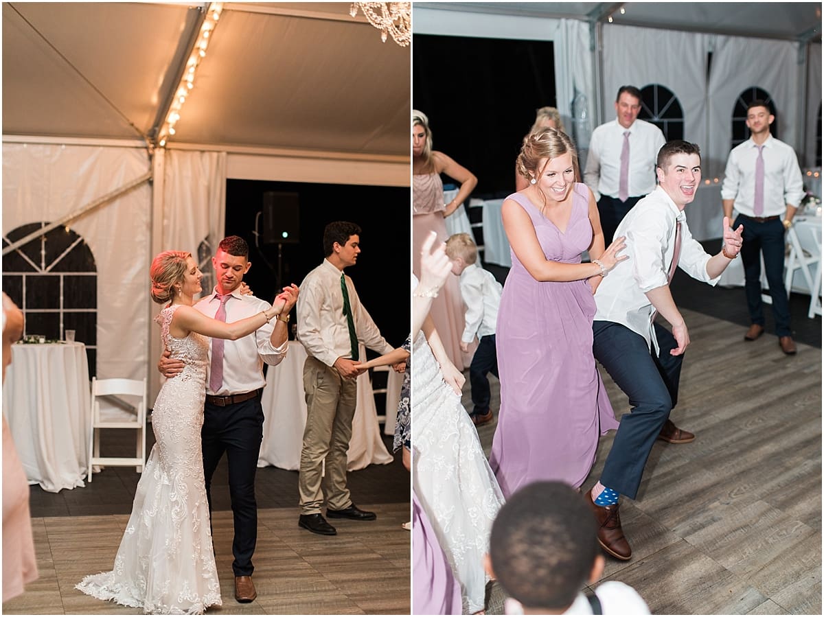  Arielle Peters Photography | Wedding guests dancing at outdoor tent wedding reception on wedding day at The Morris Estate in Niles, Michigan.