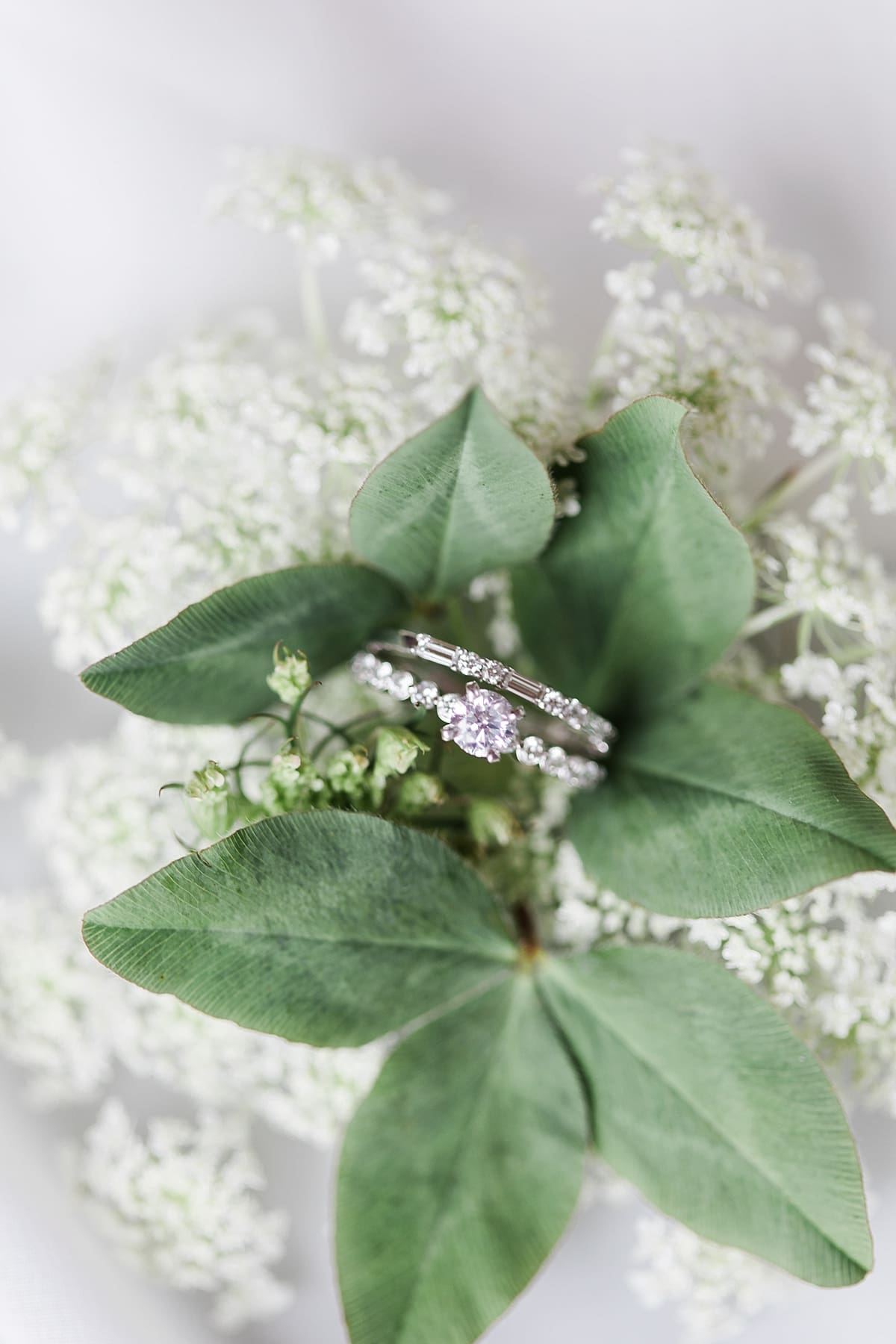 Arielle Peters Photography | Wedding rings on greenery on wedding day in Fort Wayne, Indiana. 