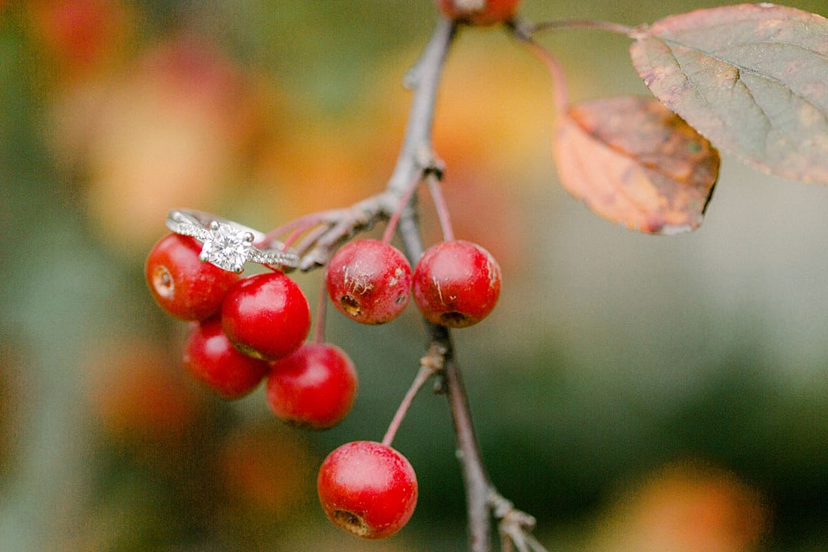 Arielle Peters Photography | Engagement ring on tree branch during fall engagement photos at Purdue University.