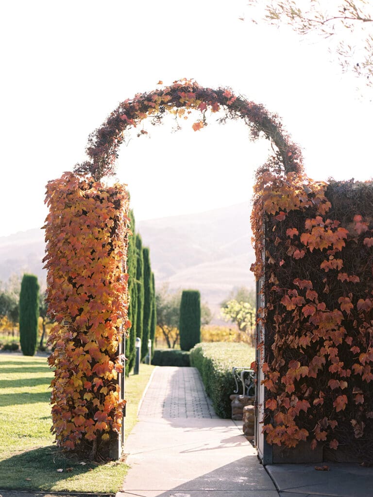 Fall foliage at Viansa Sonoma Winery in California