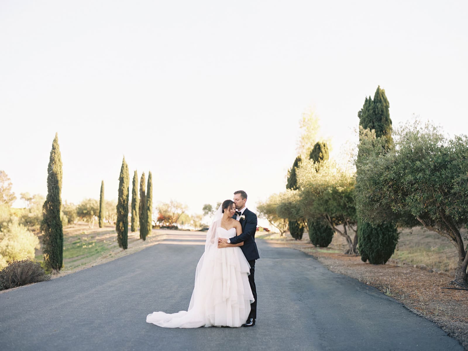 Bride and grooms outdoor Viansa Winery wedding portraits