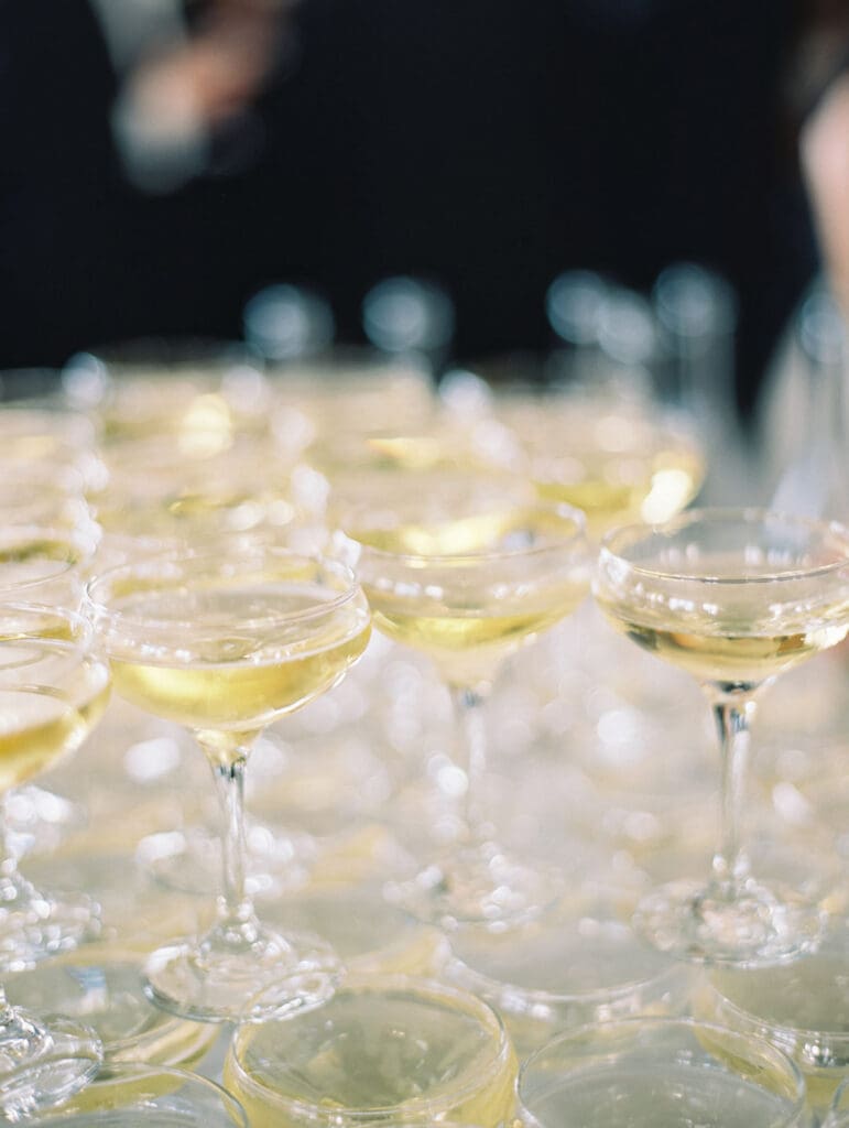 Detail shot of cocktail hour