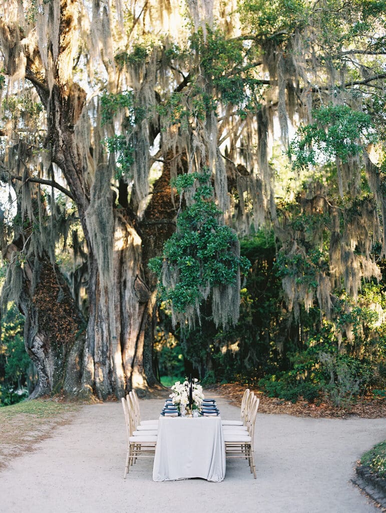 Outdoor Middleton Place wedding reception in Charleston, South Carolina